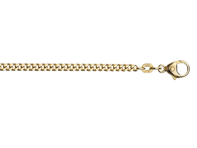 Hovedbilde Panser gullarmbånd 21 cm 2,4mm